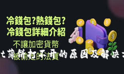 TPWallet薄饼打不开的原因及解决方法详解