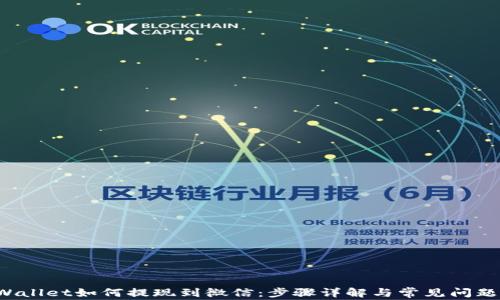 
 TPWallet如何提现到微信：步骤详解与常见问题解答