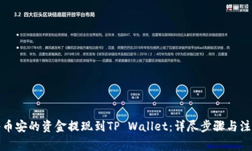 如何将币安的资金提现到TP Wallet：详尽步骤与注意事项