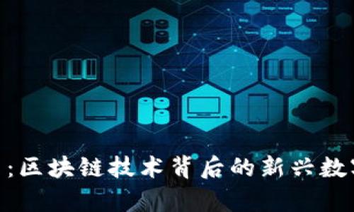 wpe产矿币：区块链技术背后的新兴数字资产解析