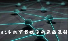 TPWallet手机下载提示的原因及解决方案