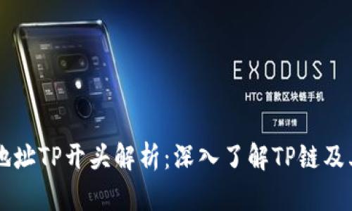 钱包地址TP开头解析：深入了解TP链及其应用