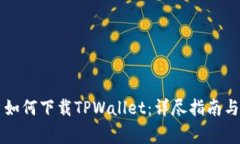 国内用户如何下载TPWallet：详尽指南与注意事项