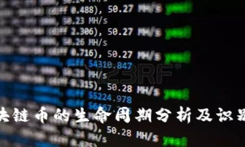 假区块链币的生命周期分析及识别技巧