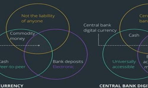 

TPWallet不同版本的USDT详细解析及使用指南