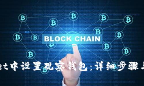 如何在TPWallet中设置观察钱包：详细步骤与常见问题解答