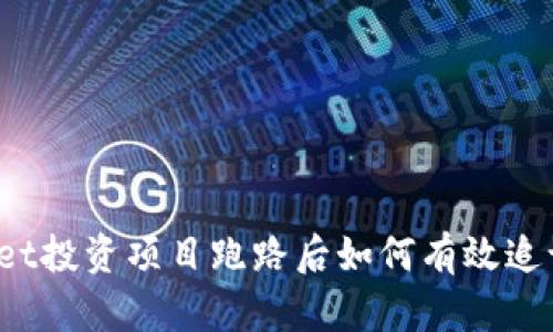 TPWallet投资项目跑路后如何有效追讨资金？