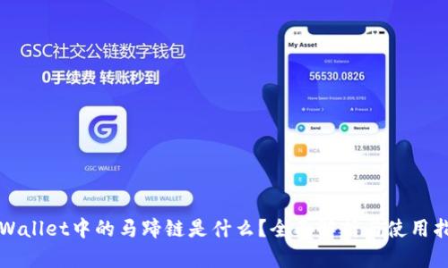 TPWallet中的马蹄链是什么？全面解析与使用指南