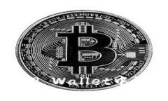 酷儿币如何在TP Wallet中绑定与使用详解