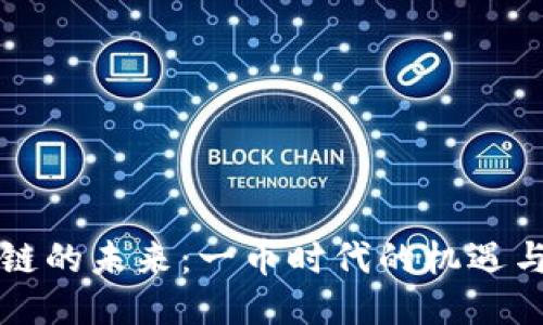 区块链的未来：一币时代的机遇与挑战