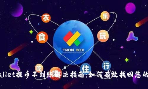 TPWallet提币不到账解决指南：如何有效找回您的资金