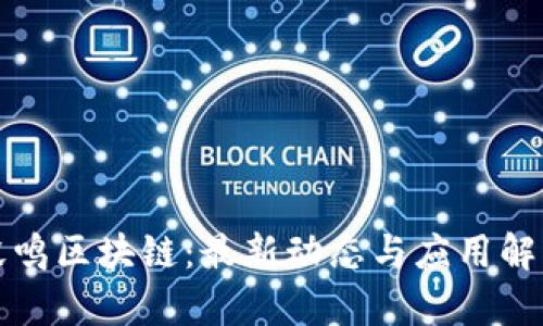 毅鸣区块链：最新动态与应用解析