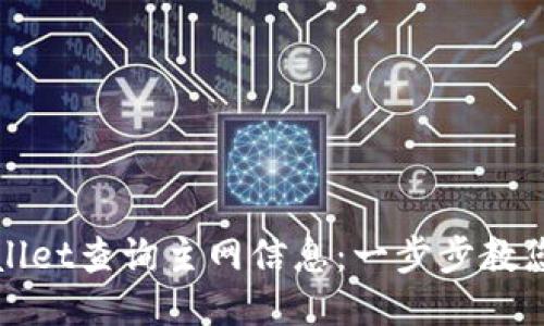 如何使用TPWallet查询主网信息：一步步教您精确获取数据