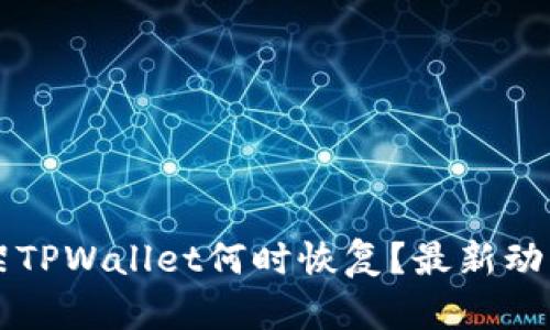 苹果商店下架TPWallet何时恢复？最新动态与用户指南
