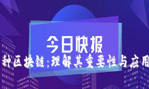 多币种区块链：理解其重要性与应用前景