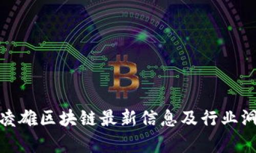 俞凌雄区块链最新信息及行业洞察