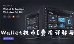 如何在TPWallet提币？费用详解与操作指南