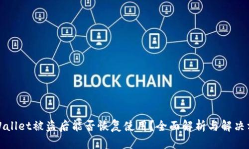 TPWallet被盗后能否恢复使用？全面解析与解决方案