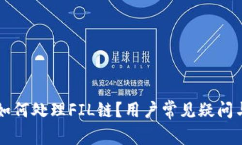TPWallet如何处理FIL链？用户常见疑问与解决方案