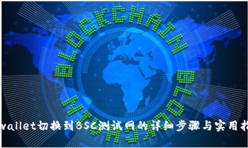 tpwallet切换到BSC测试网的详细步骤与实用指南