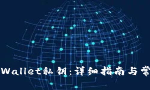 如何备份TPWallet私钥：详细指南与常见问题解答