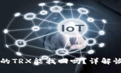 alaa/alaaTPWallet兑换失败的TRX能找回吗？详解恢复流