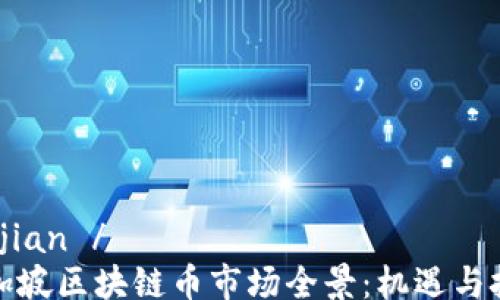 
tuijian /
新加坡区块链币市场全景：机遇与挑战