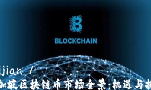 
tuijian /
新加坡区块链币市场全景：机遇与挑战