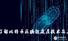 深入了解比特币区块链底层技术及其应用