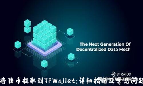
如何将猪币提取到TPWallet：详细指南及常见问题解析