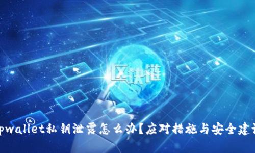 tpwallet私钥泄露怎么办？应对措施与安全建议