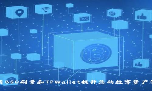 如何使用BSD刷量和TPWallet提升您的数字资产管理效率