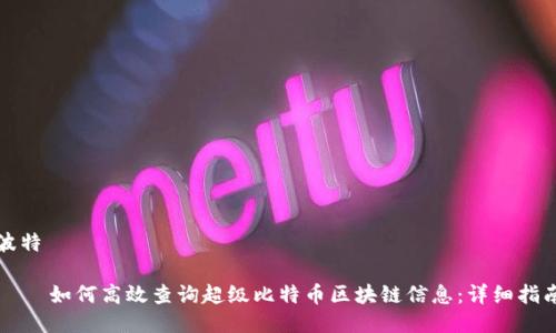 波特

    如何高效查询超级比特币区块链信息：详细指南