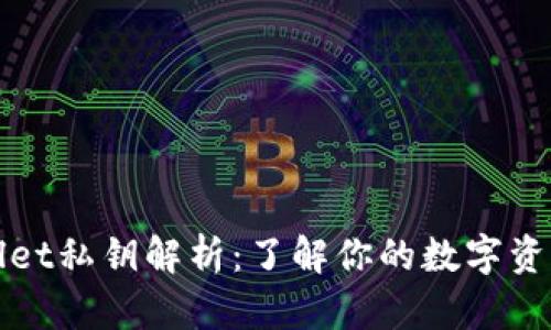 TPWallet私钥解析：了解你的数字资产安全
