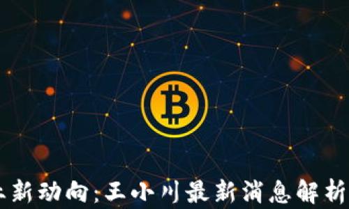 
区块链行业新动向：王小川最新消息解析与趋势展望