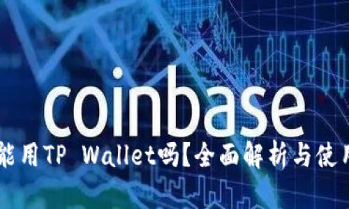 币安能用TP Wallet吗？全面解析与使用技巧