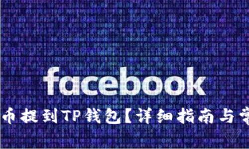 如何将Core币提到TP钱包？详细指南与常见问题解答