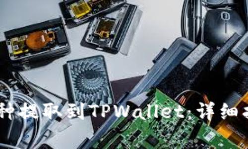 如何将OKEx币种提取到TPWallet：详细指南与注意事项