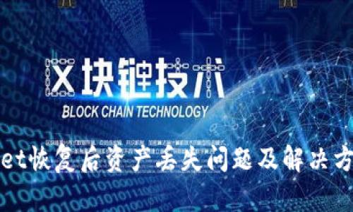 TPWallet恢复后资产丢失问题及解决方案详解