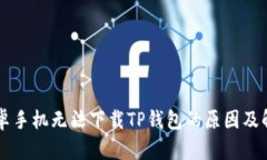 中国安卓手机无法下载TP钱包的原因及解决方法