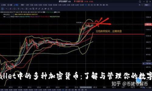 TPWallet中的多种加密货币：了解与管理你的数字资产