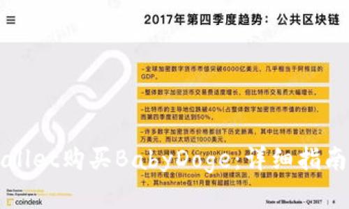 如何在TPWallet购买BabyDoge：详细指南及使用技巧