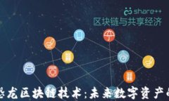 探索最新恐龙区块链技术：未来数字资产的重要