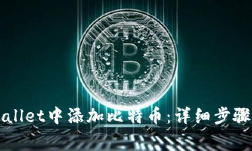 如何在TPWallet中添加比特币：详细步骤与注意事项