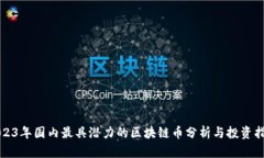 2023年国内最具潜力的区块链币分析与投资指南