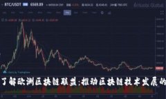 深入了解欧洲区块链联盟：推动区块链技术发展