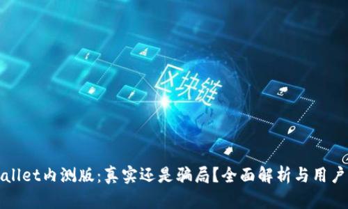 TPWallet内测版：真实还是骗局？全面解析与用户反馈