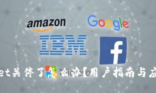 TPWallet关停了怎么办？用户指南与应对措施