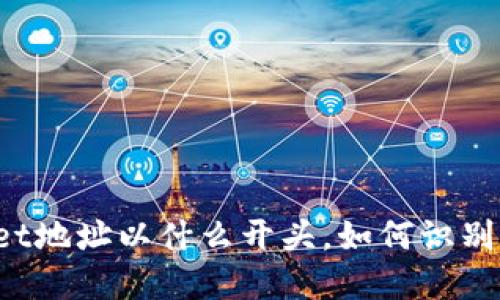 TPWallet地址以什么开头，如何识别和使用？