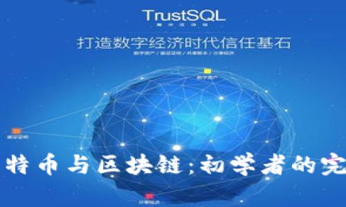 深入了解比特币与区块链：初学者的完整视频指南